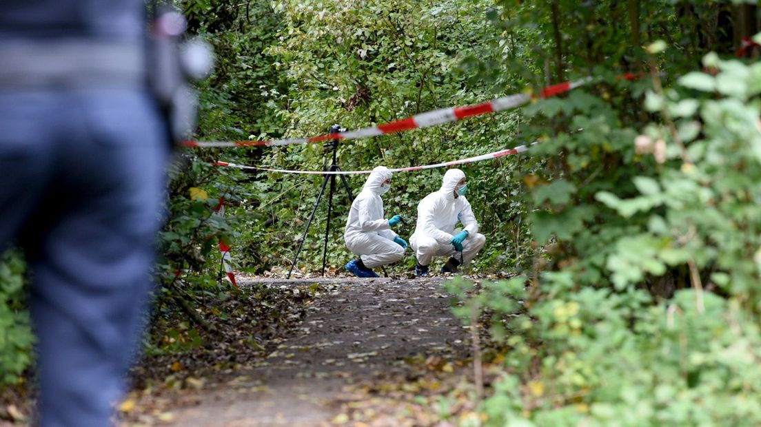 Forensische onderzoekers in het Beatrixpark na een melding van een 'verdachte situatie'.