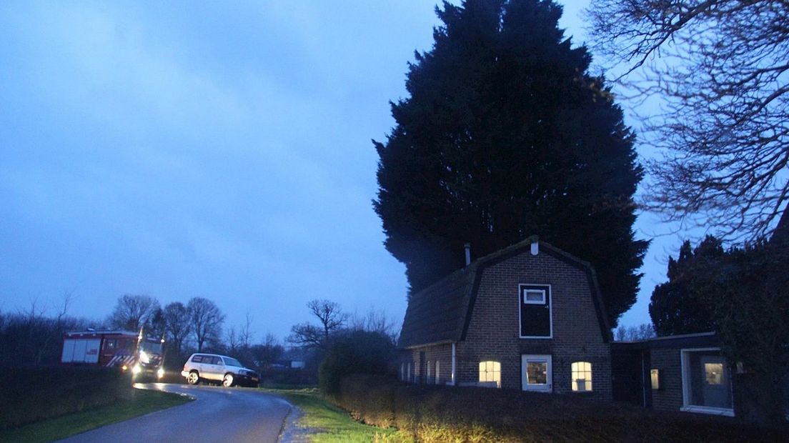 Stormschade aan torenhoge coniferenboom in Paasloo