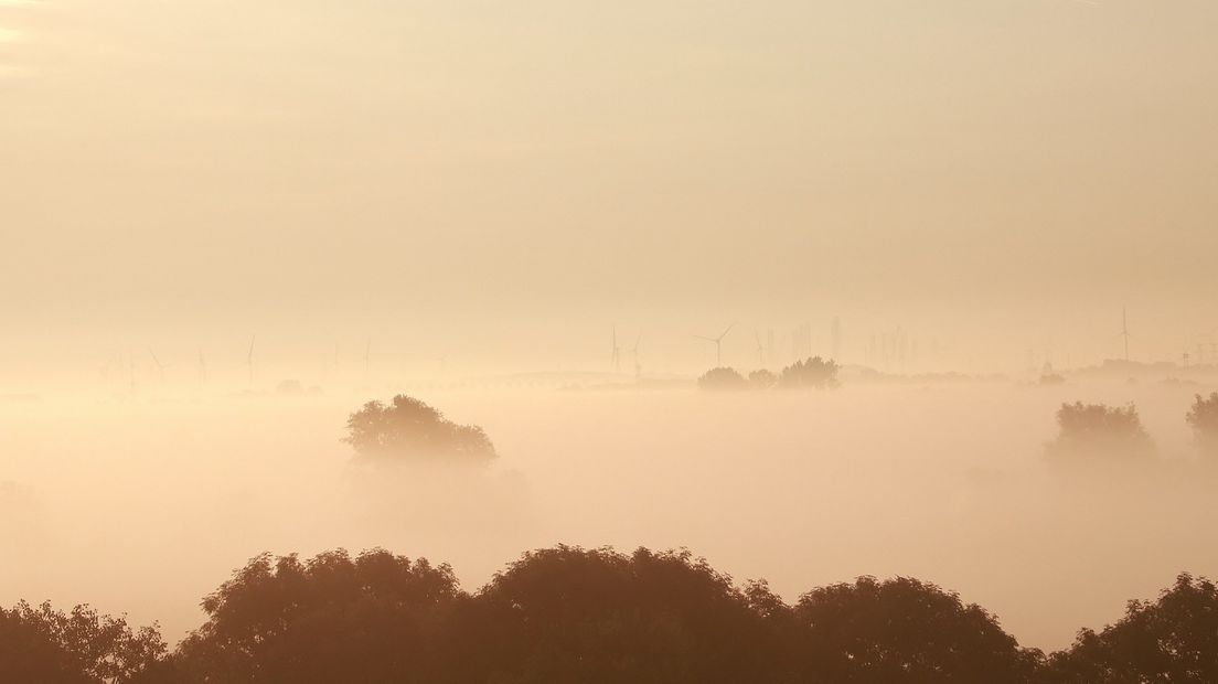 Zeeland in de ochtendmist