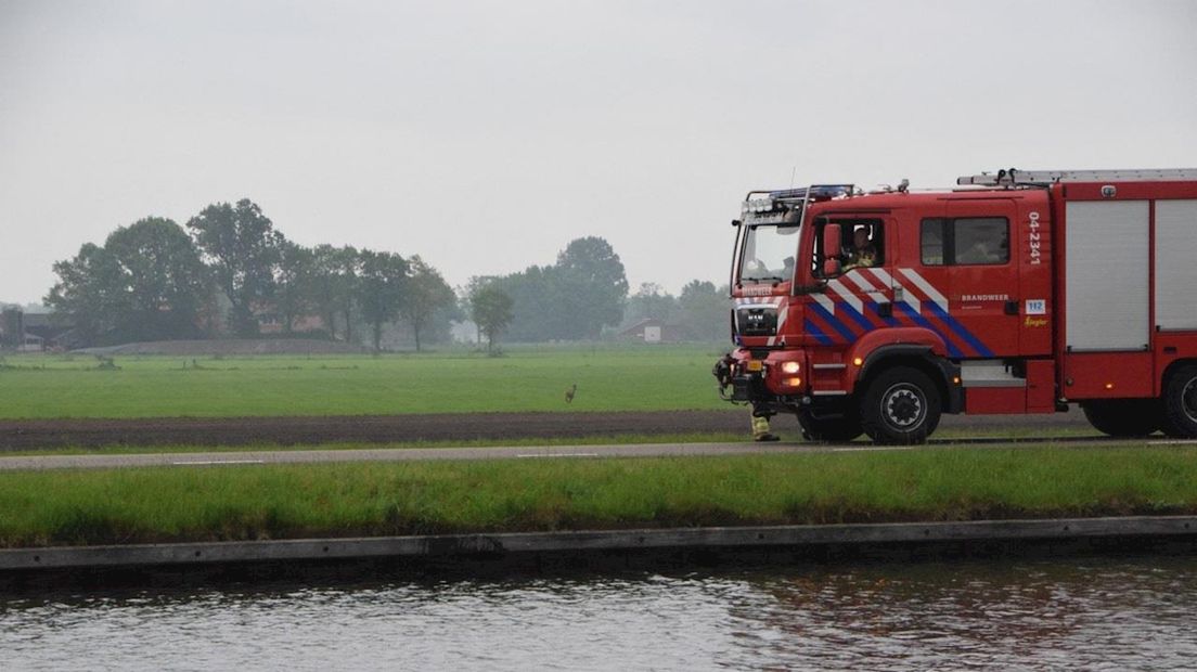 Brandweer haalt ree uit het kanaal
