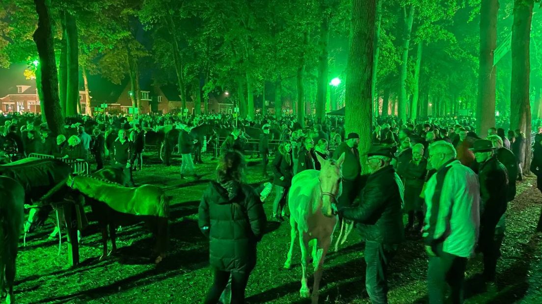 821ste Zuidlaardermarkt is los: 'Chocolademelk, Zuidlaarder bol en snert' - RTV Noord