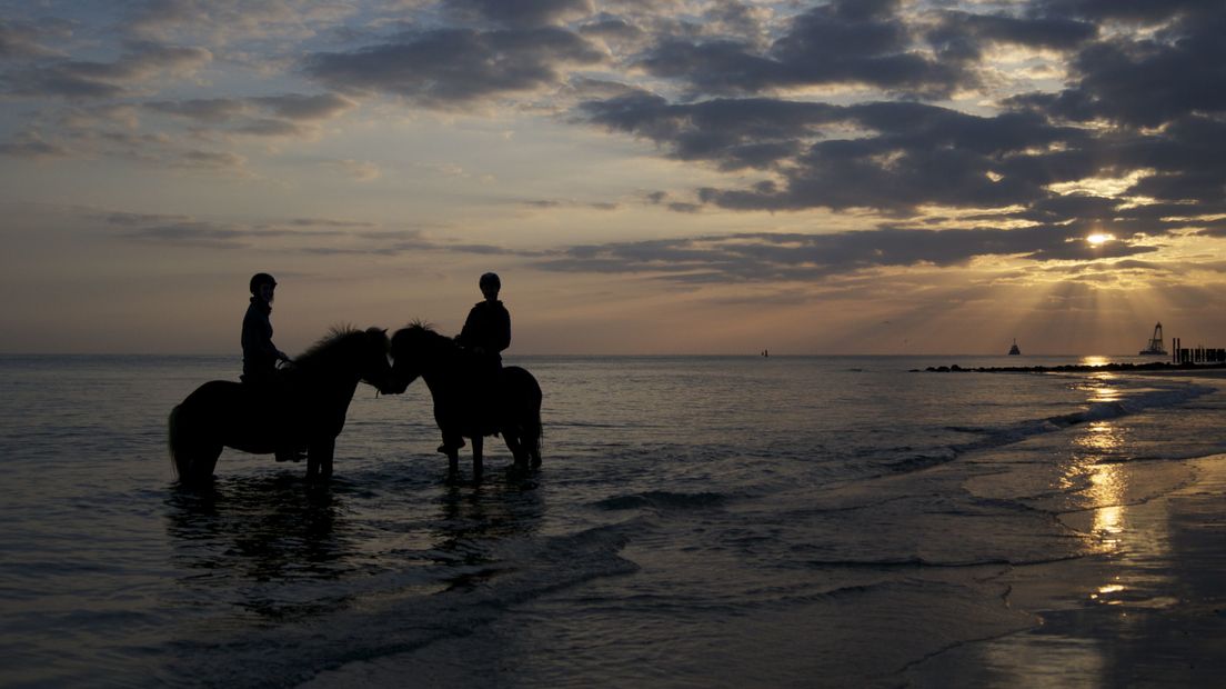 Paardrijden bij zonsondergang in Zoutelande