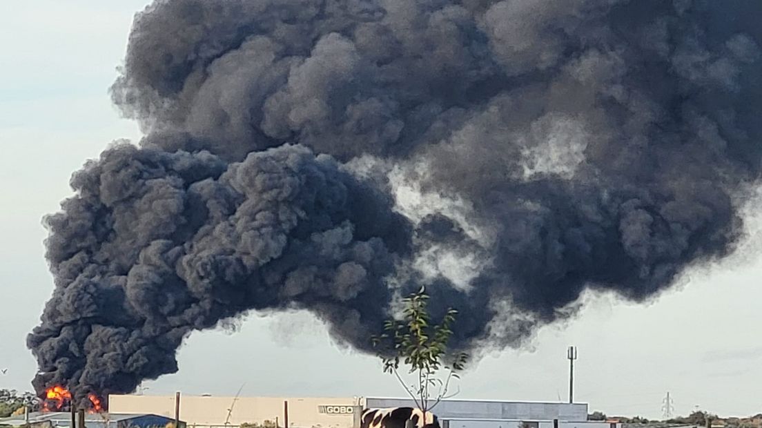 Zwarte rookwolken door de brand bij het bedrijf in Lanaken