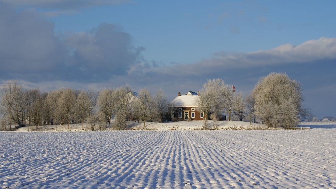In beeld: Hoe beleefde Stad en Ommeland de laatste witte kerst? - RTV Noord