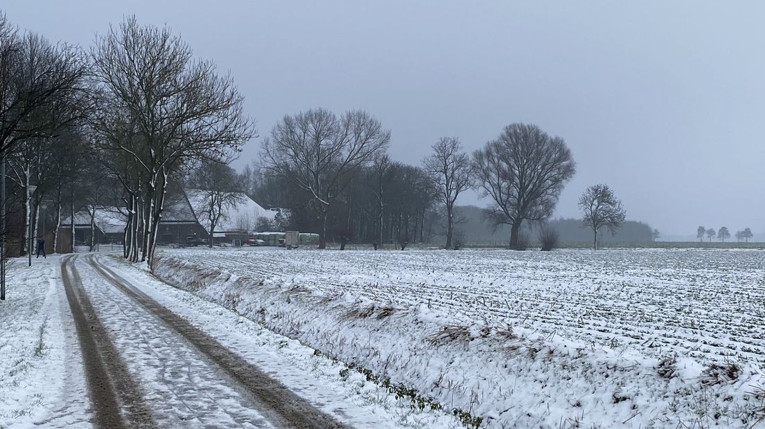 De bouw van wisselwoningen staan gepland aan de rand van het dorp Uithuizen