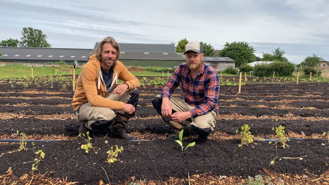 Niels Moshagen en Jaap Fris zijn samen een boerderij gestart.