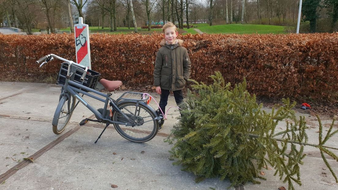 Kinderen leveren de kerstboom in