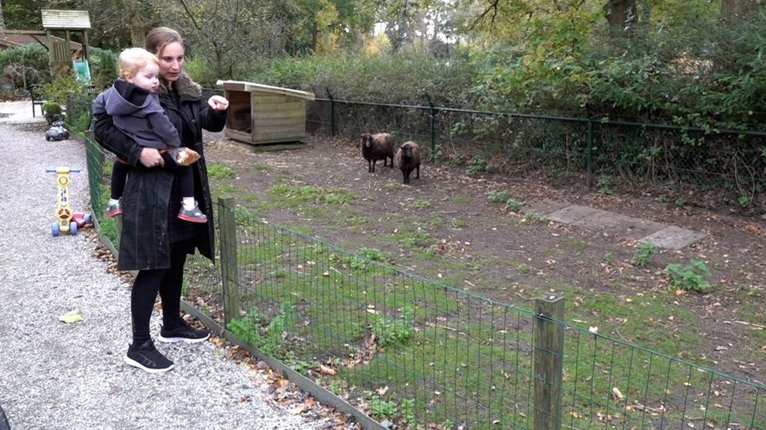 Dierenparkje