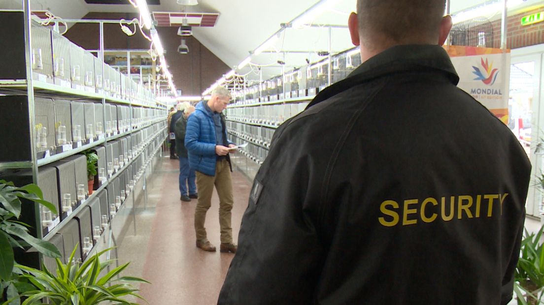 Beveiligers zorgen dat de dure vogels niet gestolen worden (Rechten: Jeroen Willems/RTV Drenthe)