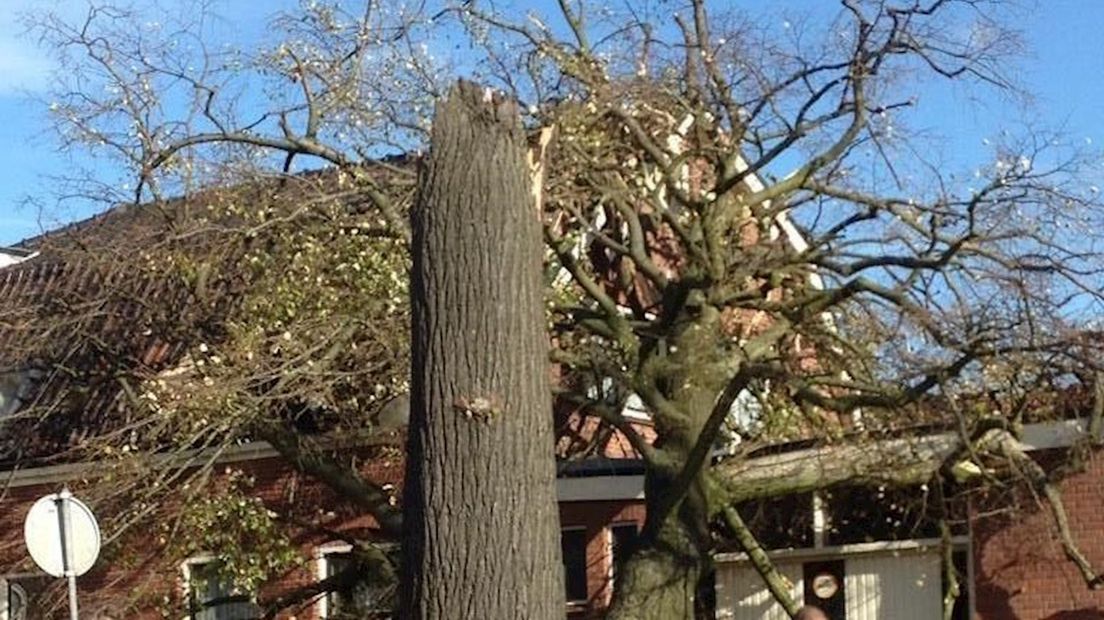 Boom valt op woning in Hengelo