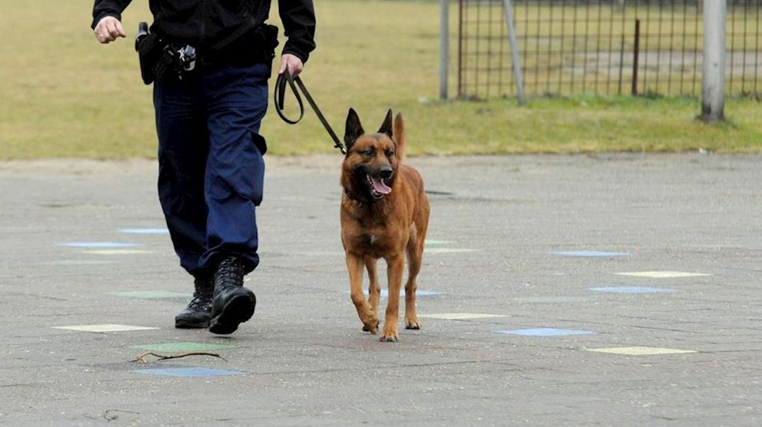 Politiehond