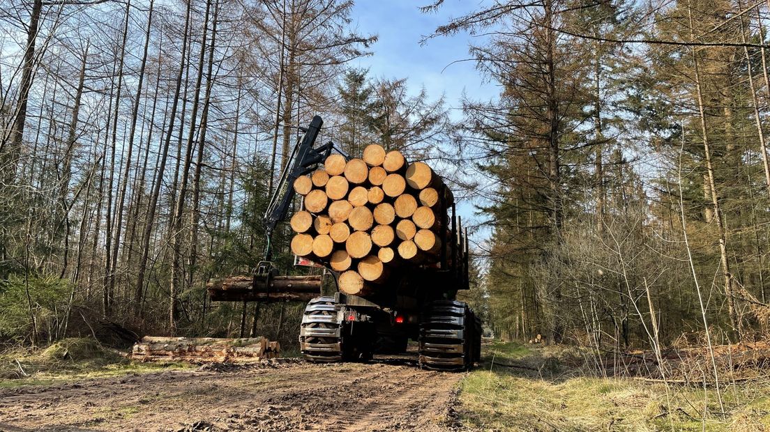 In het bos kunnen alleen nog maar bepaalde activiteiten doorgaan