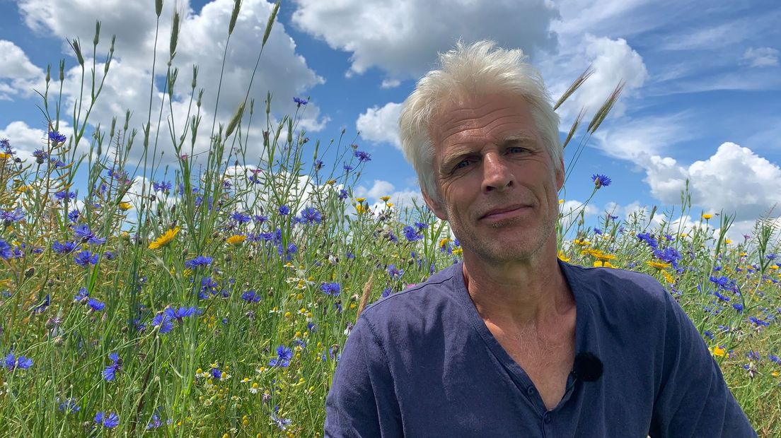 Bioloog Paul ten Den heeft een inheems zaadmengsel gekozen voor de akkerranden