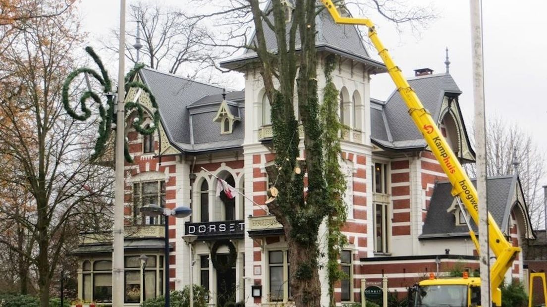 Boomkap in Borne in volle gang