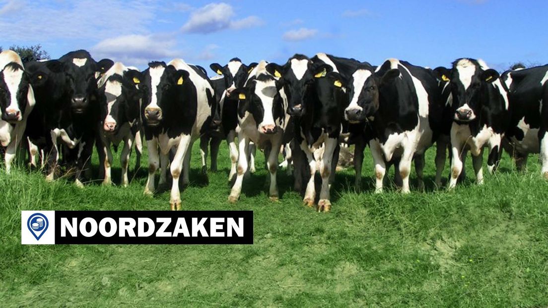 De dalende melkprijs zit FrieslandCampina dwars