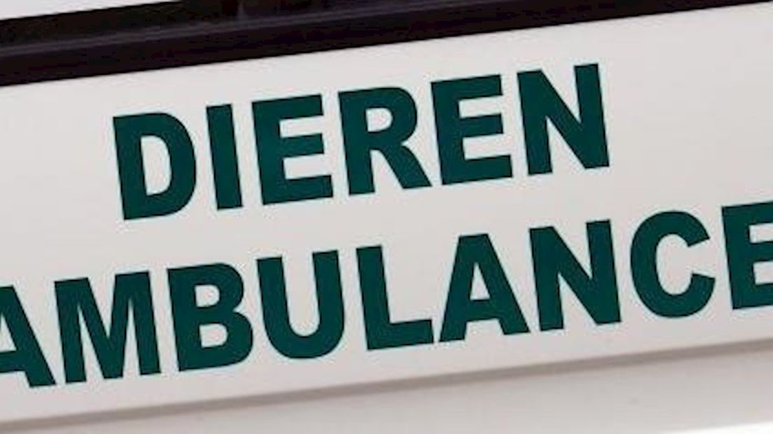 Dierenambulance Noord-Overijssel in problemen door betaald werk