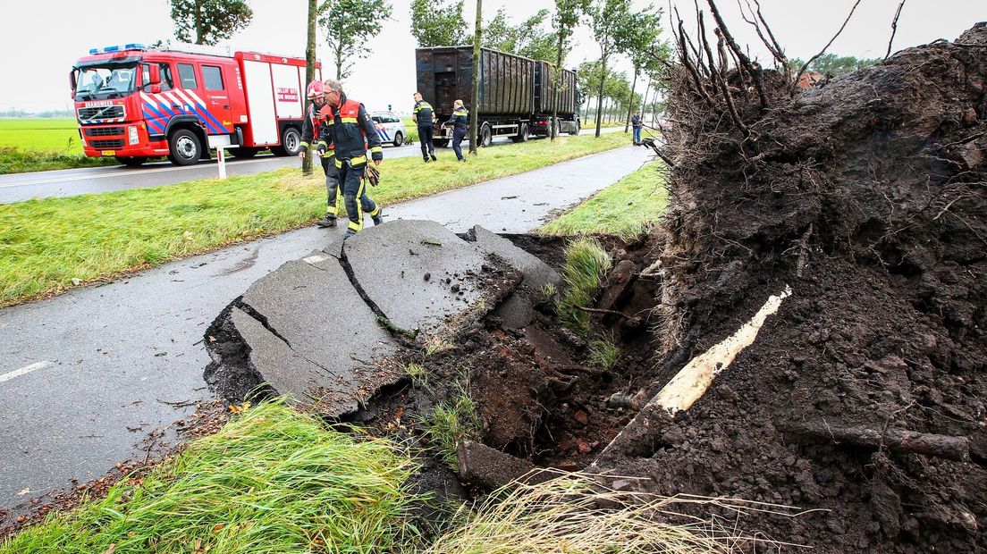 Aan de Turfweg in Blijham is en boom omgevallen
