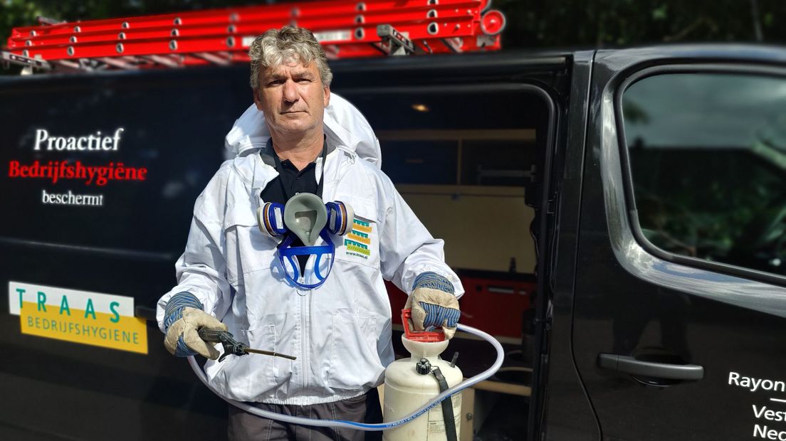 Wespenbestrijders draaien overuren: 'De piek moet nog komen' - RTV Drenthe