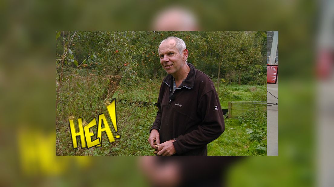 HEA! Het milieu van de Mekels - Omrop Fryslan