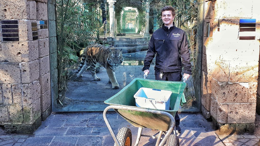 Michael van Huik heeft een bijzondere bijbaan tussen de tijgers.