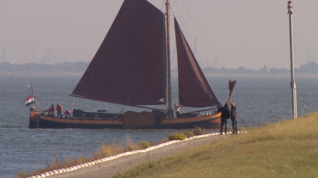 Bieten varen Yerseke binnen (video)