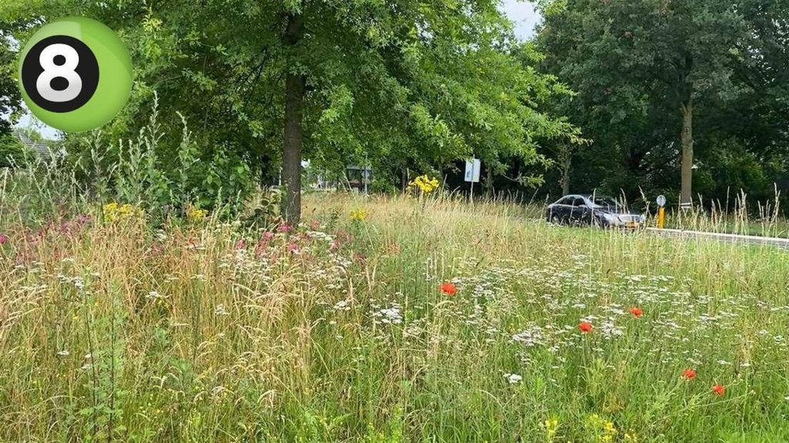 Bronckhorst gaat berm minder vaak maaien