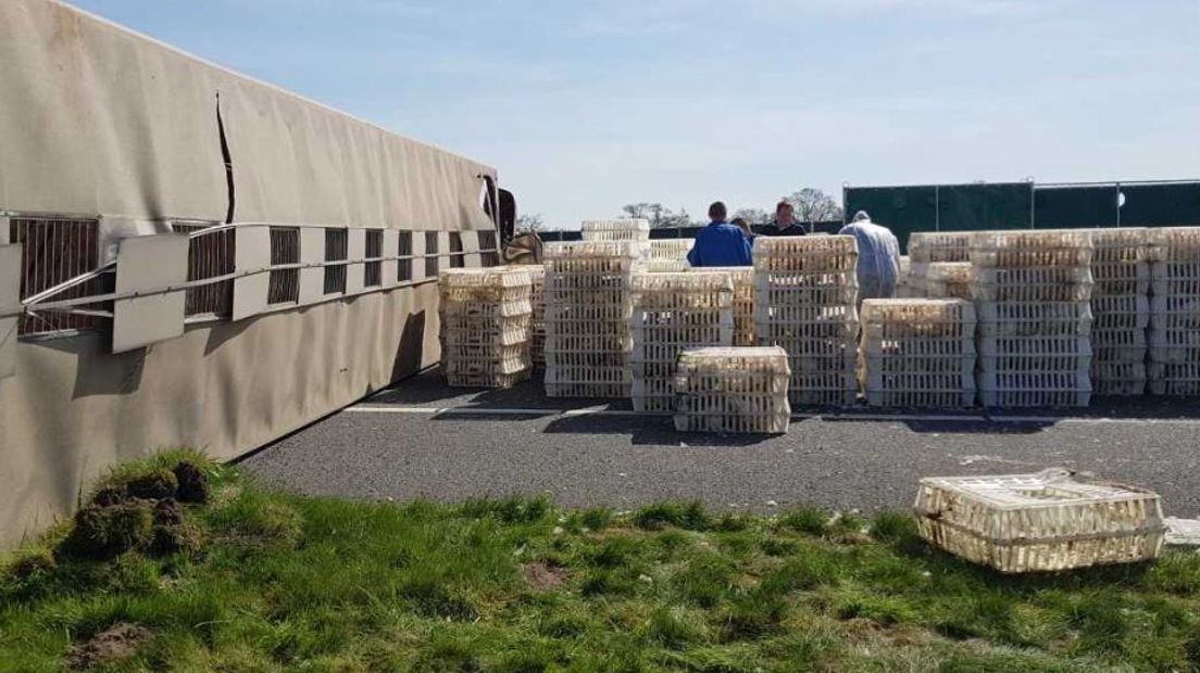Op de A50 richting Apeldoorn is vanochtend ter hoogte van Epe een vrachtwagen met 5000 levende kippen gekanteld. Als gevolg van het ongeval was de weg tot ongeveer 14.45 uur afgesloten, dat meldt Rijkswaterstaat.