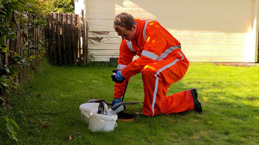 Onderzoek naar lood in tuinen in De Ronde Venen: 'Kan invloed hebben op het IQ van kinderen' - RTV U