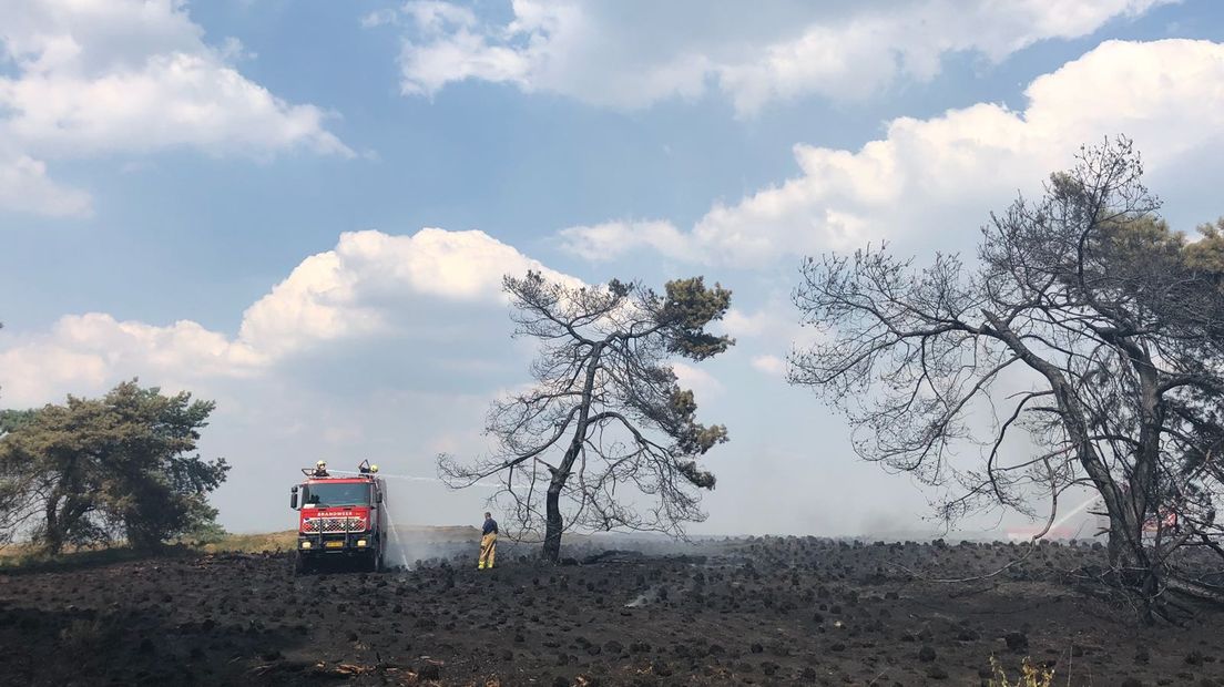 Een grote brand heeft in Nationaal Park De Hoge Veluwe bij Otterlo zo'n 4 hectare heide verwoest. Meerdere brandweerwagens bestreden het vuur, dat inmiddels onder controle is. Boeren helpen mee bij het nablussen. Lees hieronder ons liveblog terug.