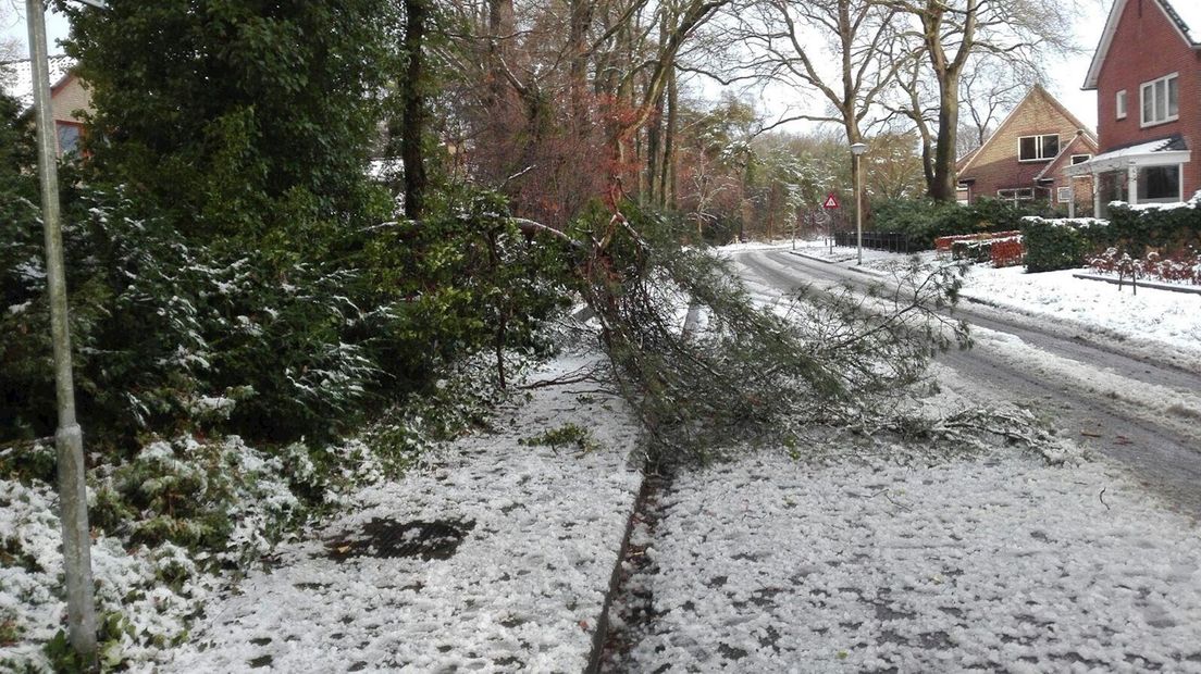 Afgeknapte boomtakken in Nijverdal