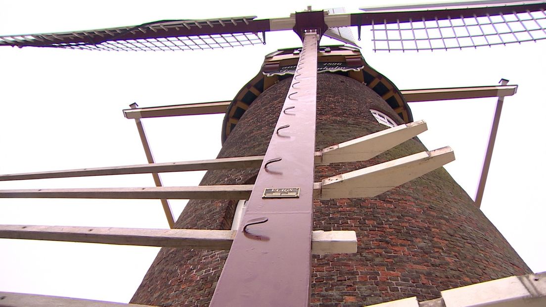 Molen de Graanhalm in Gapinge is weer veilig - Omroep Zeeland