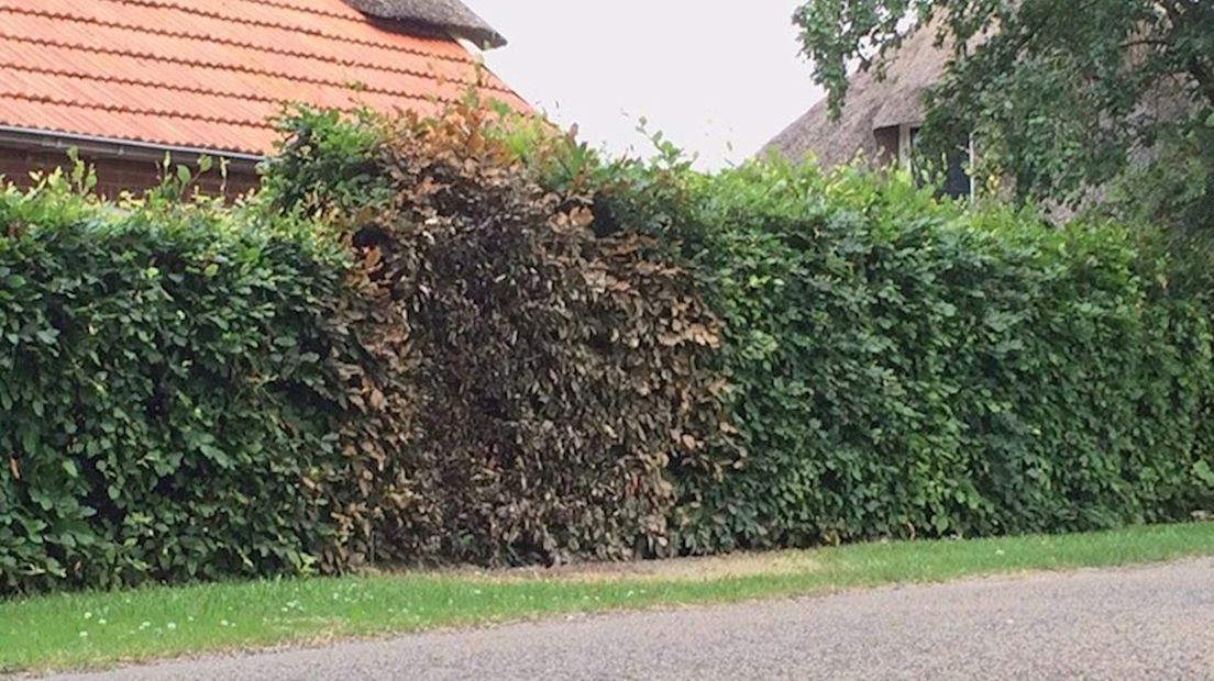 Tbs Verlengd Van Man Die Brandbom Gooide Naar Huis Burgemeester Rijssen 