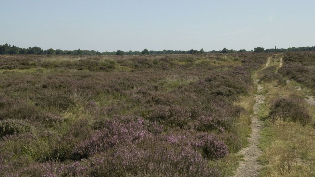 Wat is er dit weekend te