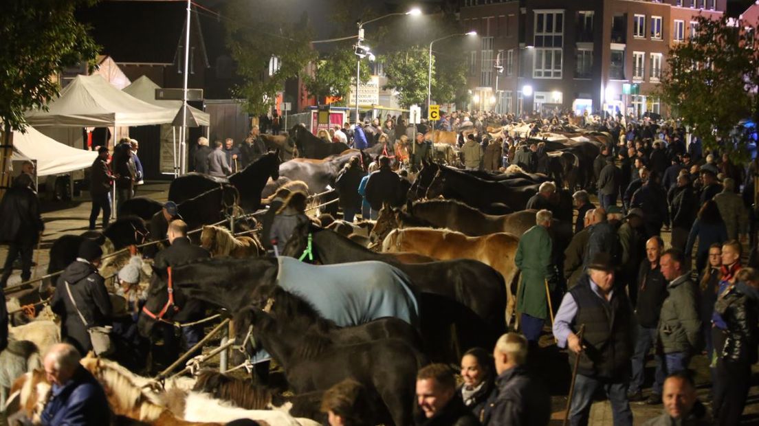 In Hedel is maandag de jaarlijkse paardenmarkt begonnen.