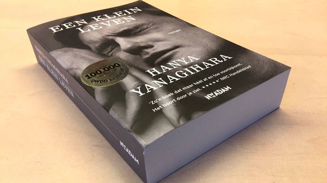 Boeken top 5 Margreet de Haan: Een Klein Leven