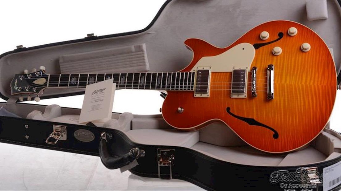 De gestolen gitaar
