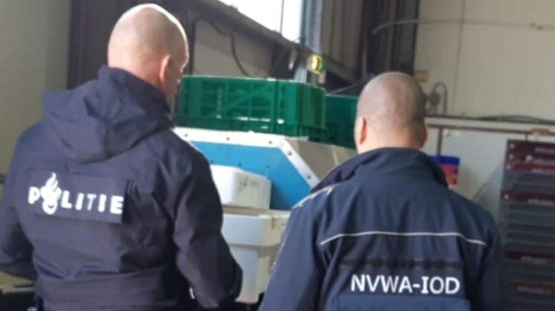 Politie en NVWA doen onderzoek naar illegaal verhandelen vis