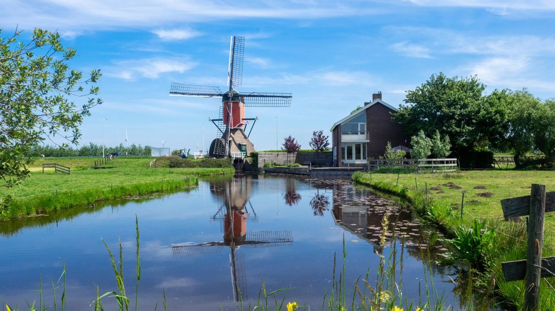 Deze molen in Hazerswoude-Dorp staat er prachtig bij