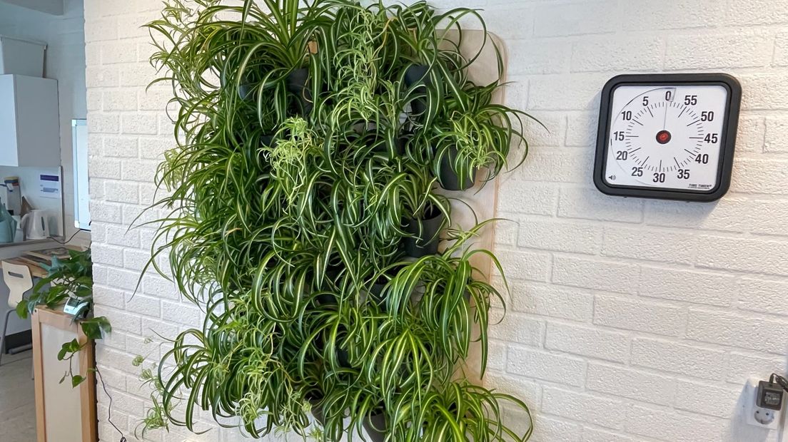 Een groene wand in het klaslokaal van SBO de Kameleon in Hoogeveen