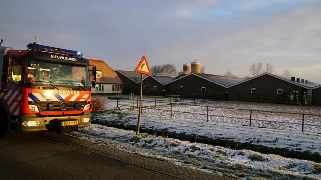 Brand in varkensstal in buitengebied Zwolle