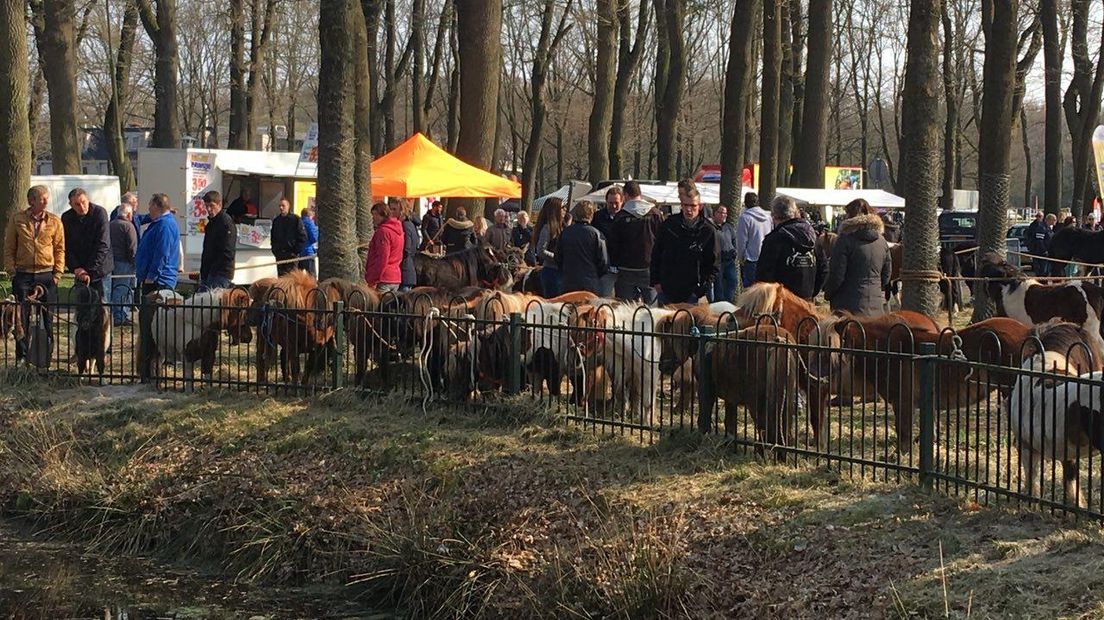 De voorjaarsmarkt in Zuidlaren heeft er mooi weer bij (Rechten: Frits Emmelkamp/RTV Drenthe)