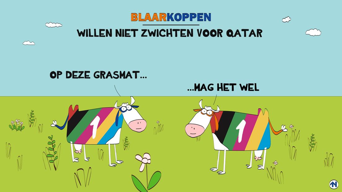 Onze Blaarkoppen van vandaag