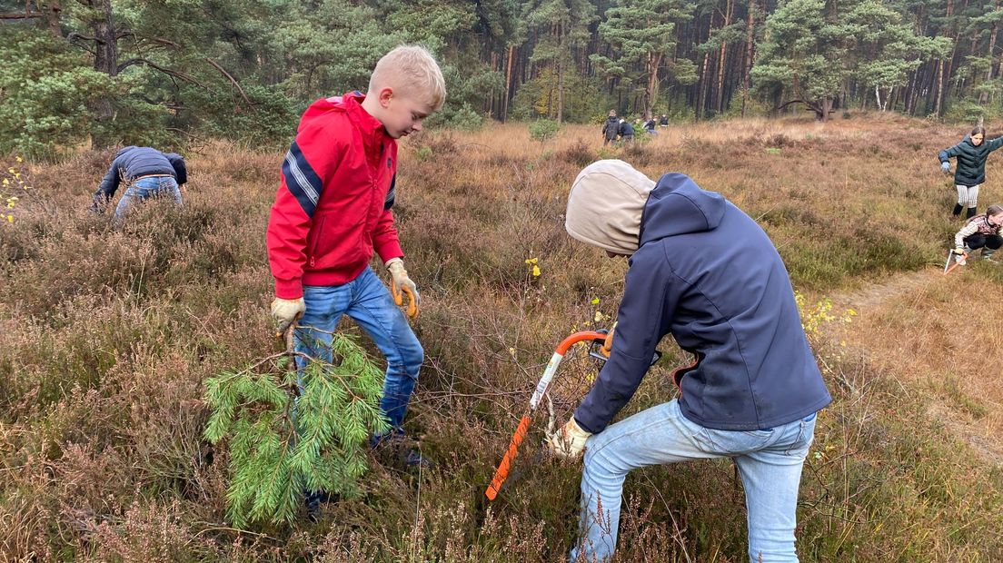 Natuurwerkdag in Rechteren