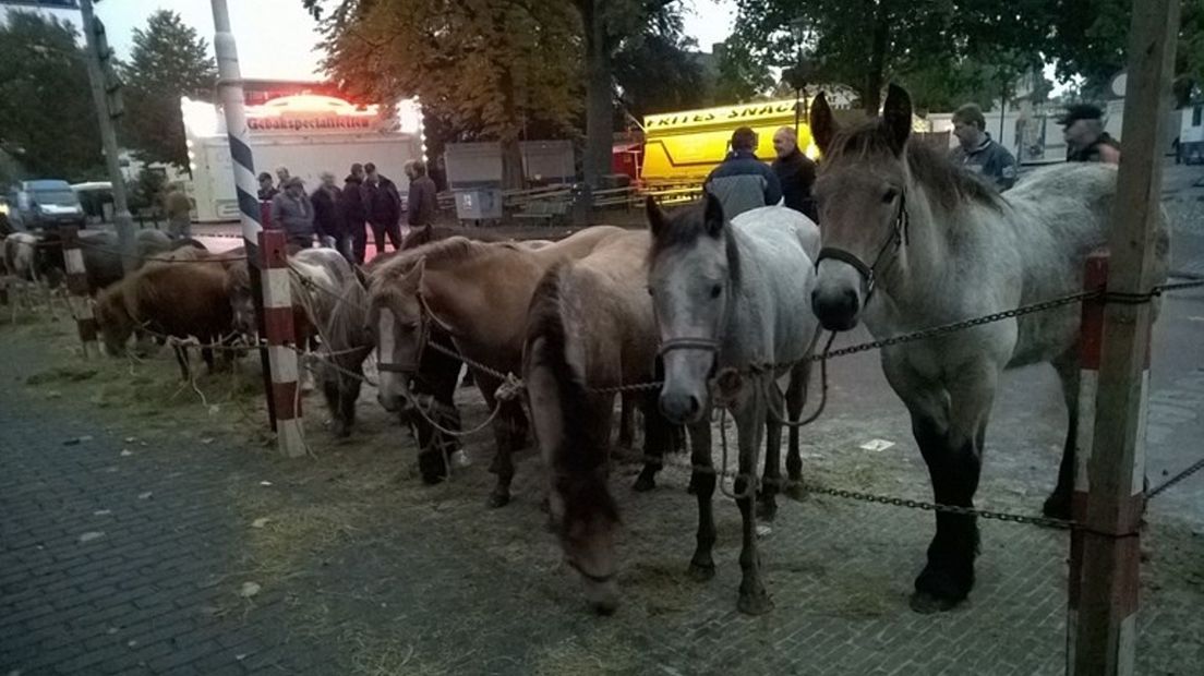 Rodermarkt paarden
