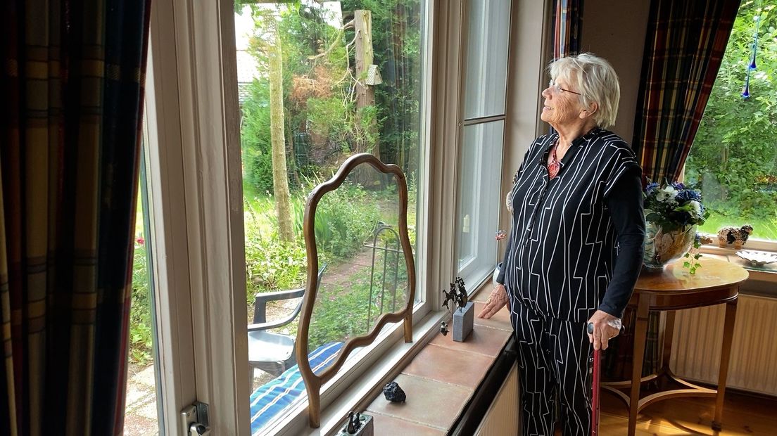 Emmy stond voor het raam en zag de valwind op haar afstormen.