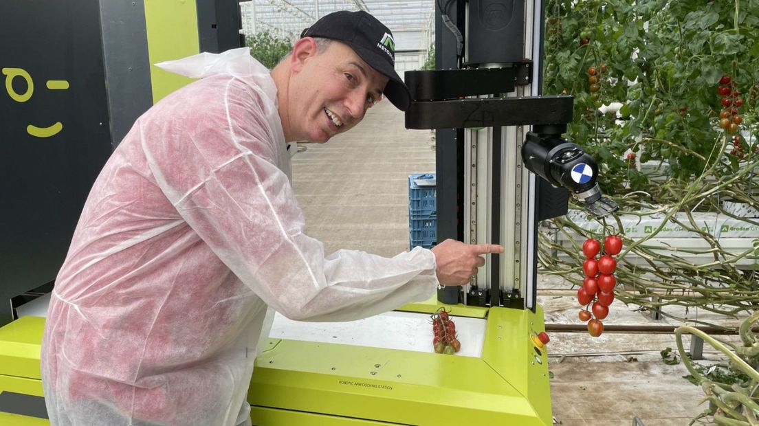 Eerste tomatenplukrobot staat nu in Westlandse kas