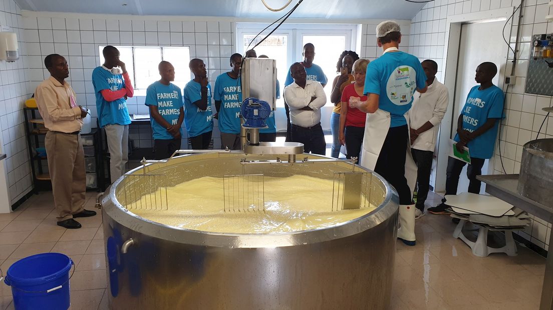 Kenianen leren kaasmaken in Zwolle