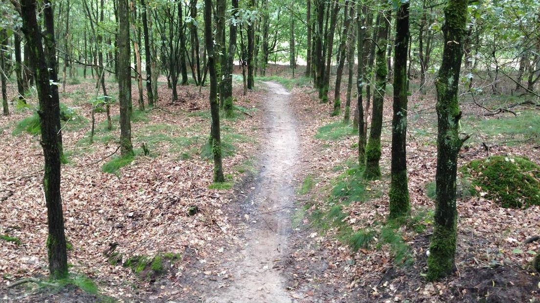 Mountainbikeroute op de Lemelerberg