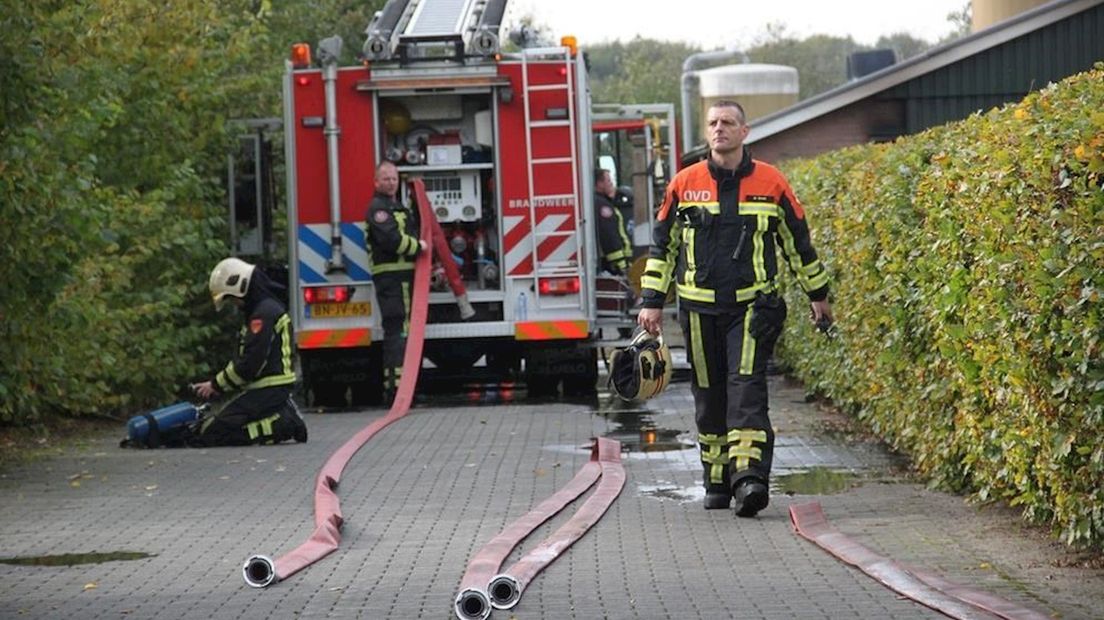 70 kalveren dood bij brand in Hoge Hexel