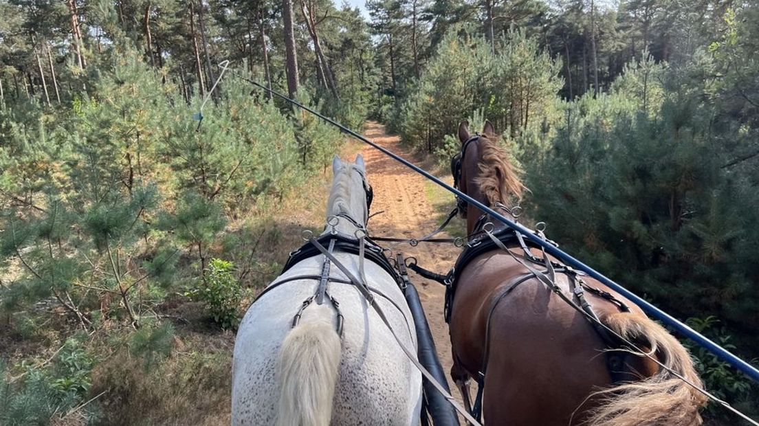 De paden zijn vernieuwd en worden onderhouden door vrijwilligers